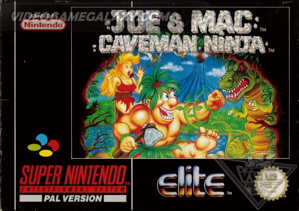 Joe & Mac Caveman Ninja