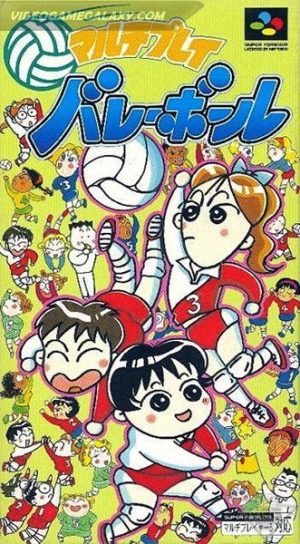 Multi Play Volleyball