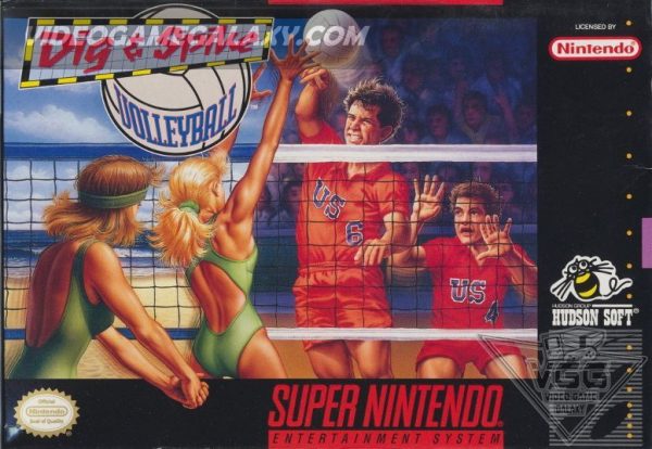 Dig & Spike - Volleyball