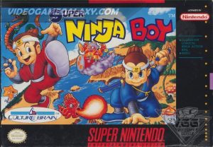 Super Ninja Boy