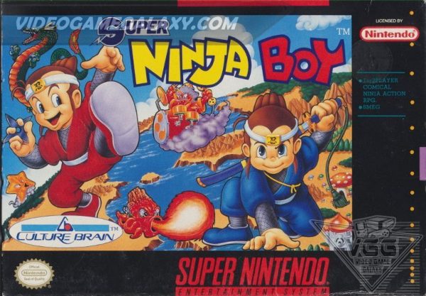 Super Ninja Boy
