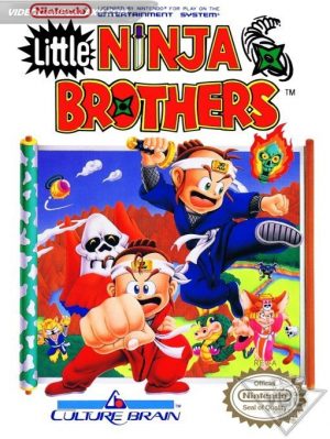 Little Ninja Brothers