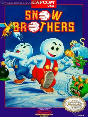 Snow Brothers
