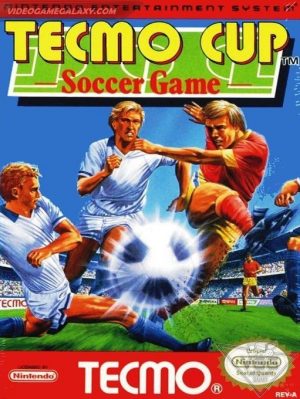 Tecmo Cup Soccer Game