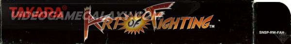 Art of Fighting - Image 5