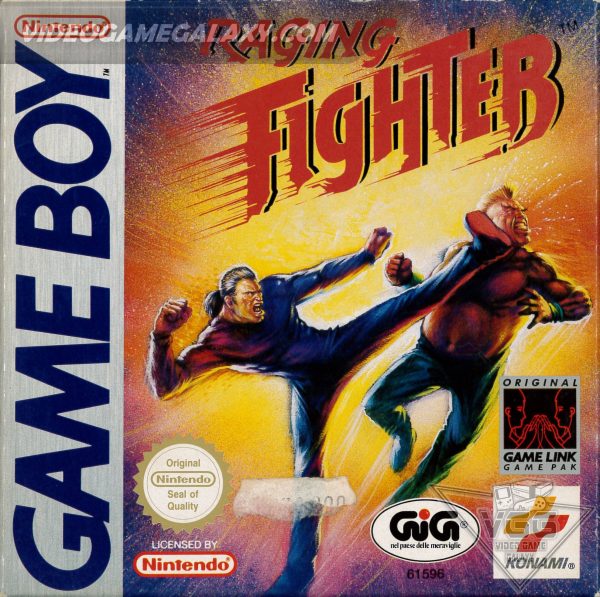 Raging Fighter