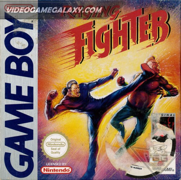 Raging Fighter